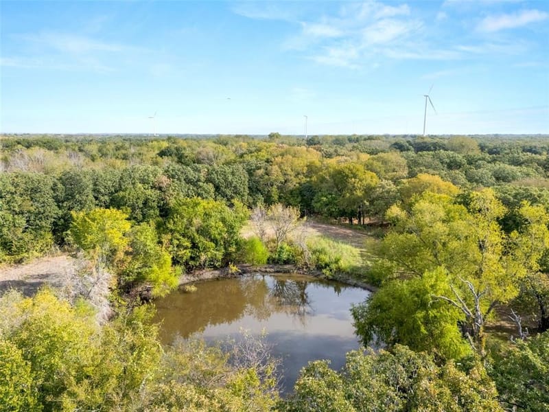 982 Lcr 131, Mount Calm TX 76673 - Photo 35