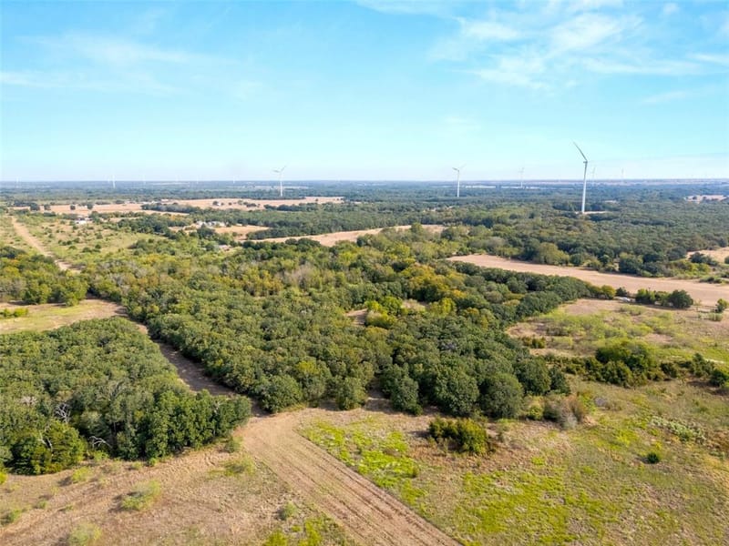 982 Lcr 131, Mount Calm TX 76673 - Photo 31