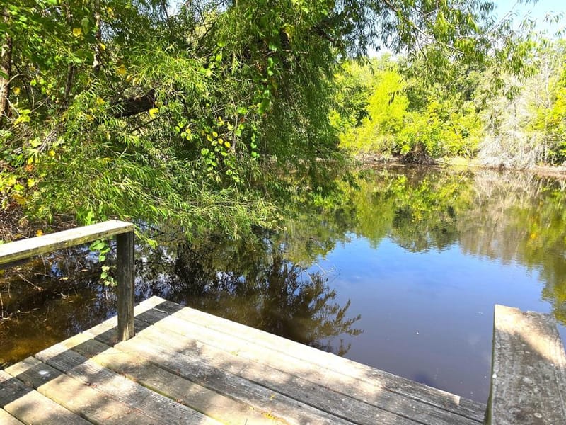 982 Lcr 131, Mount Calm TX 76673 - Photo 8