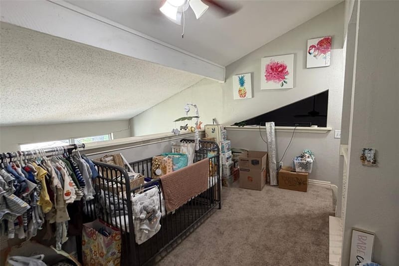 2994 Buttonwood Drive, Carrollton TX 75006 - Photo 28