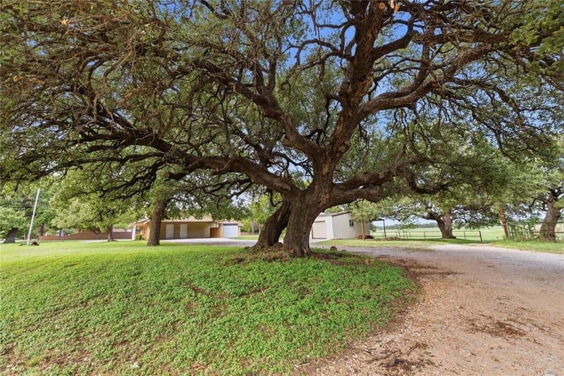 1822 VINE Street, Brownwood TX 75801 - Photo 33