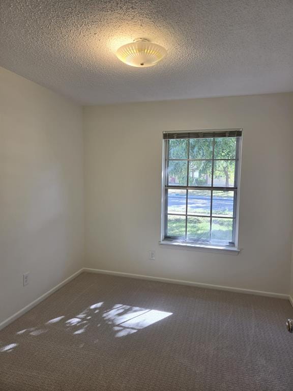 1505 Judy Drive, Plano TX 75074 - Photo 19