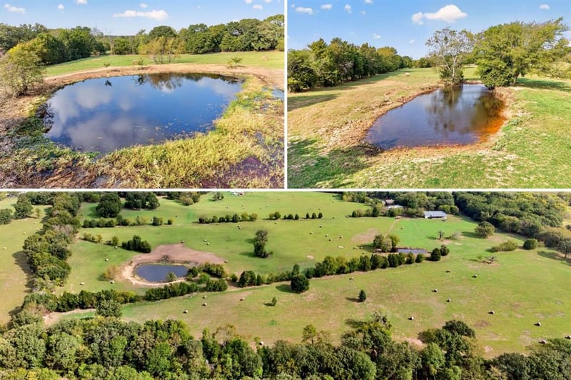 419 US Highway 175 W, Eustace TX 75124 - Photo 40