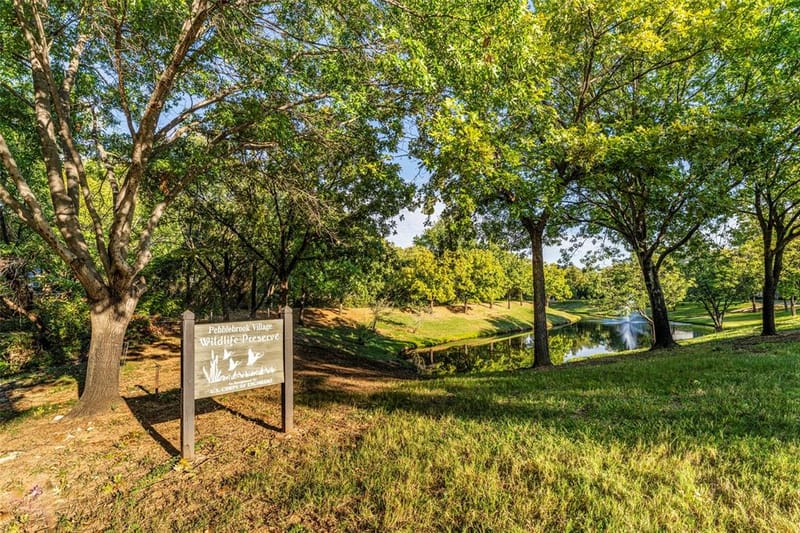 807 Cara Lane, Arlington TX 76012 - Photo 30
