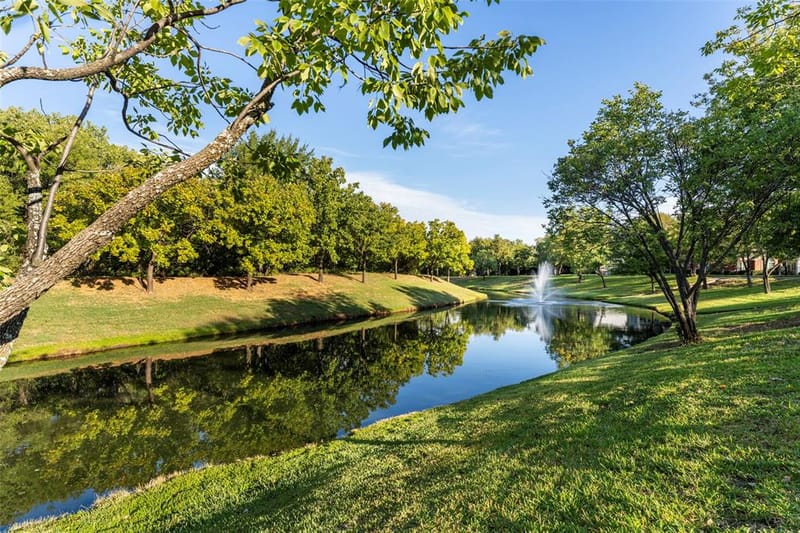 807 Cara Lane, Arlington TX 76012 - Photo 29