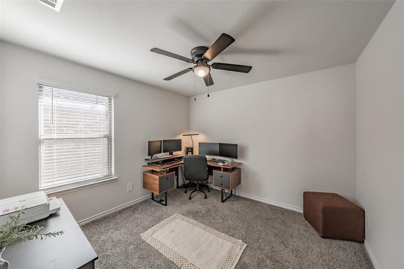 317 Willowmore Drive, Little Elm TX 75068 - Photo 27