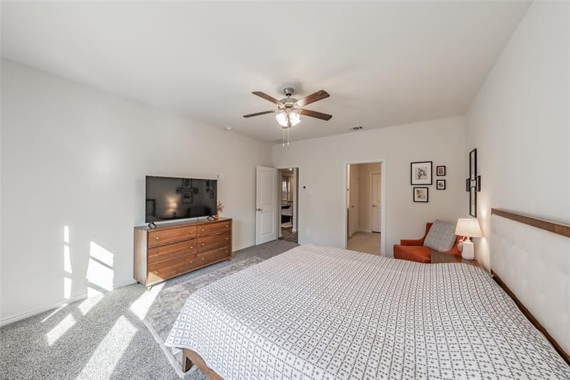 317 Willowmore Drive, Little Elm TX 75068 - Photo 16