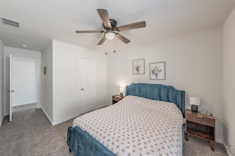 317 Willowmore Drive, Little Elm TX 75068 - Photo 26