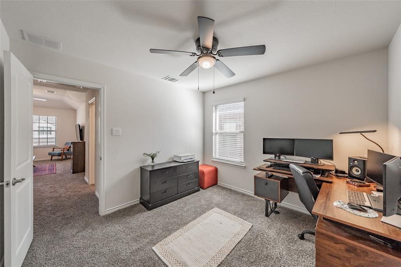 317 Willowmore Drive, Little Elm TX 75068 - Photo 28