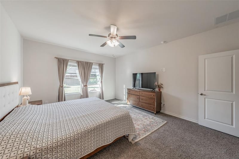 317 Willowmore Drive, Little Elm TX 75068 - Photo 15