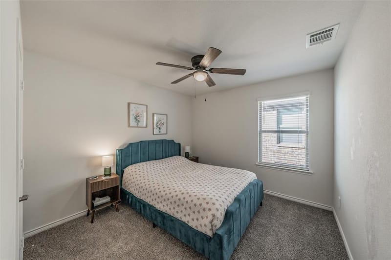 317 Willowmore Drive, Little Elm TX 75068 - Photo 25