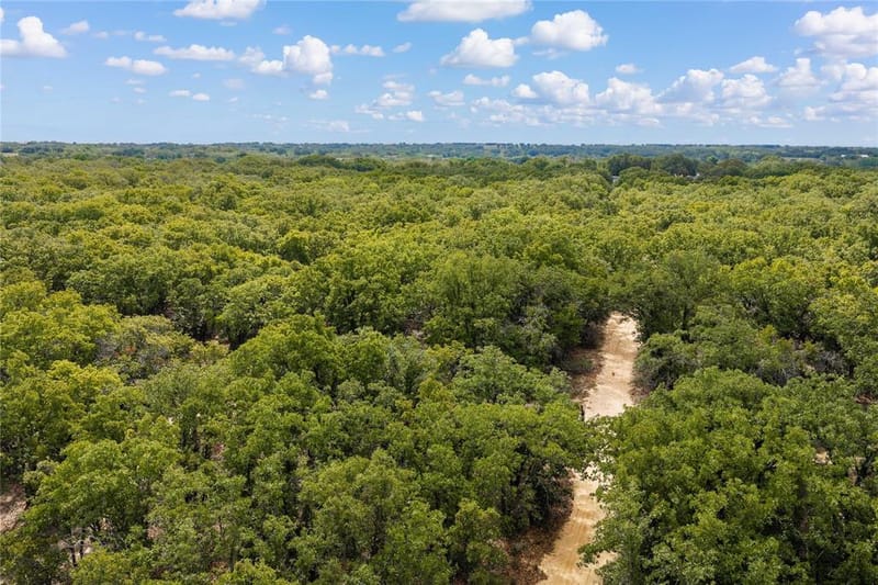 5540 County Road 334, Blanket TX 76432 - Photo 37