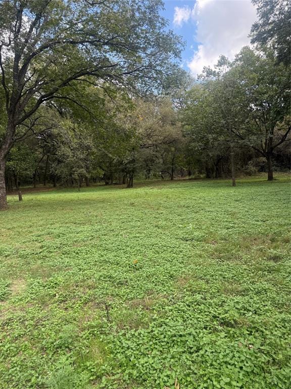 5115 County Road 423, Grandview TX 76050 - Photo 23