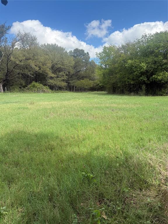 5115 County Road 423, Grandview TX 76050 - Photo 26