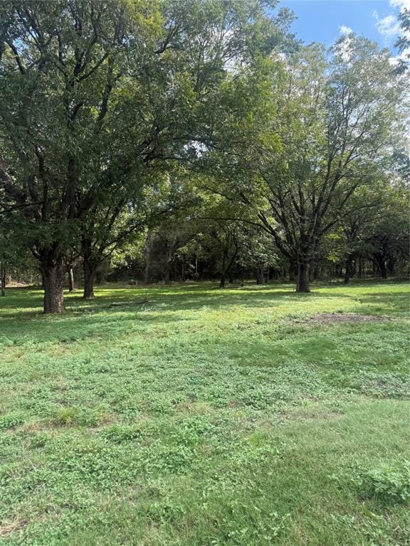 5115 County Road 423, Grandview TX 76050 - Photo 24