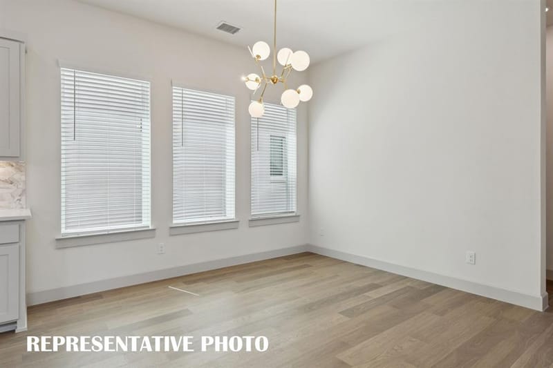1132 Broomsedge Mews, Celina TX 75009 - Photo 8