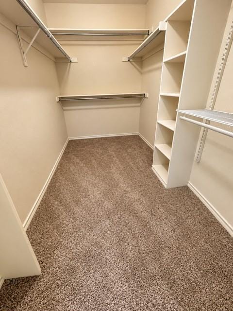 8813 Pheasant Run Drive, Rowlett TX 75089 - Photo 15