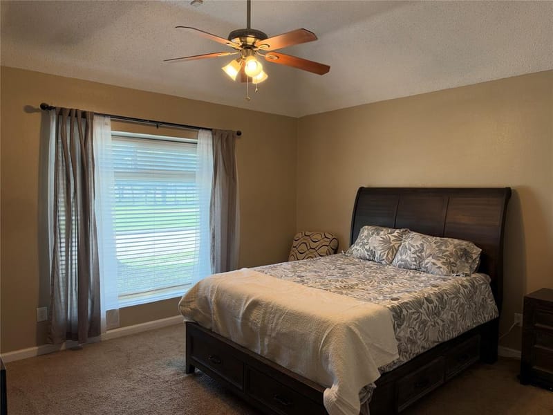 302 Pool Street, Cedar Hill TX 75104 - Photo 11