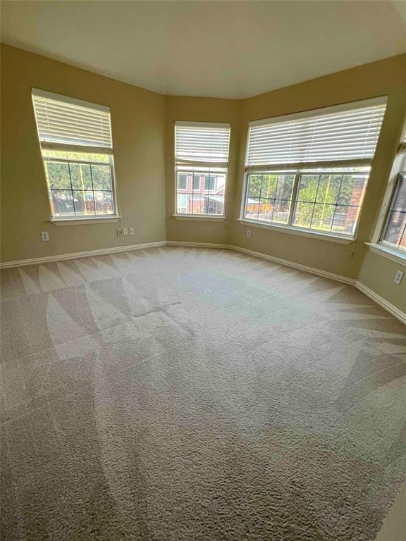 4203 Iron Lane, Mansfield TX 76063 - Photo 14