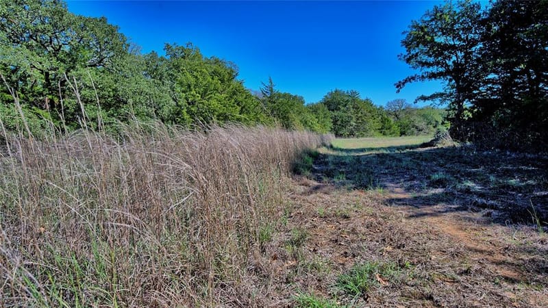 14742 Fm 677 N, Saint Jo TX 76265 - Photo 22