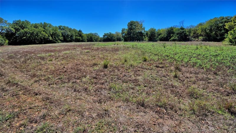 14742 Fm 677 N, Saint Jo TX 76265 - Photo 24