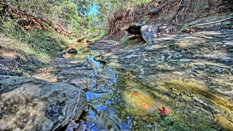 14742 Fm 677 N, Saint Jo TX 76265 - Photo 4