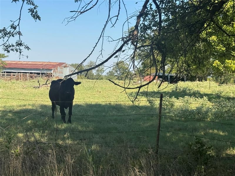 15575 County Road 116, Mabank TX 75147 - Photo 13