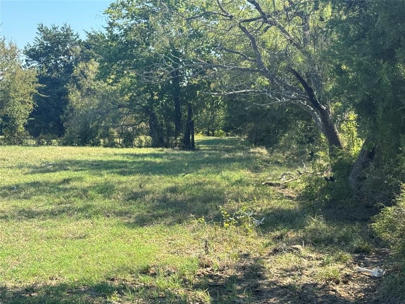 15575 County Road 116, Mabank TX 75147 - Photo 7