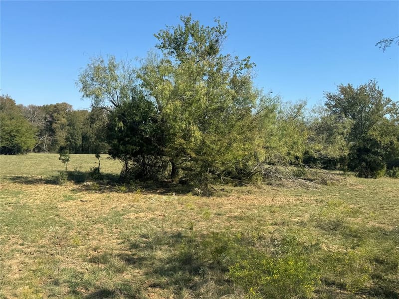 15575 County Road 116, Mabank TX 75147 - Photo 9