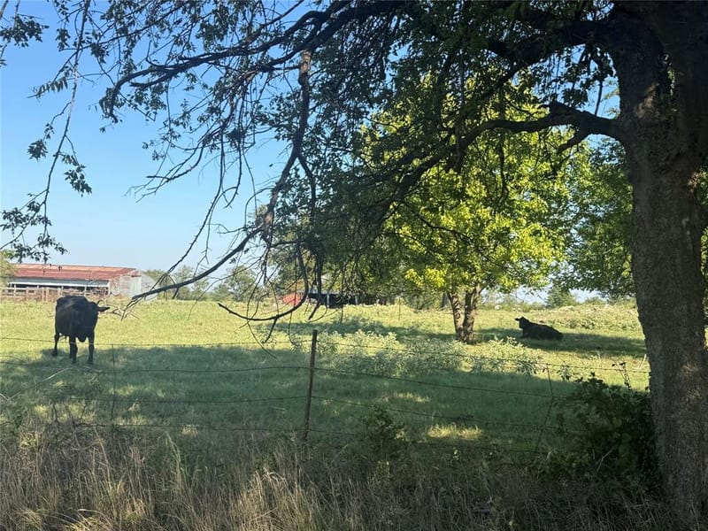 15575 County Road 116, Mabank TX 75147 - Photo 14