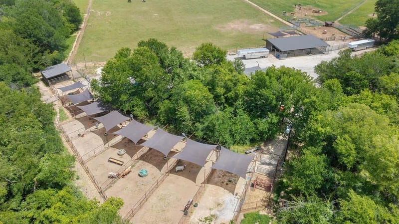 4101 W Highway 114, Paradise TX 76073 - Photo 39