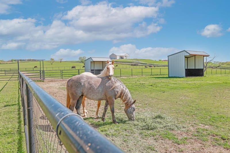 1200 Mcreynolds Road, Sanger TX 76266 - Photo 8