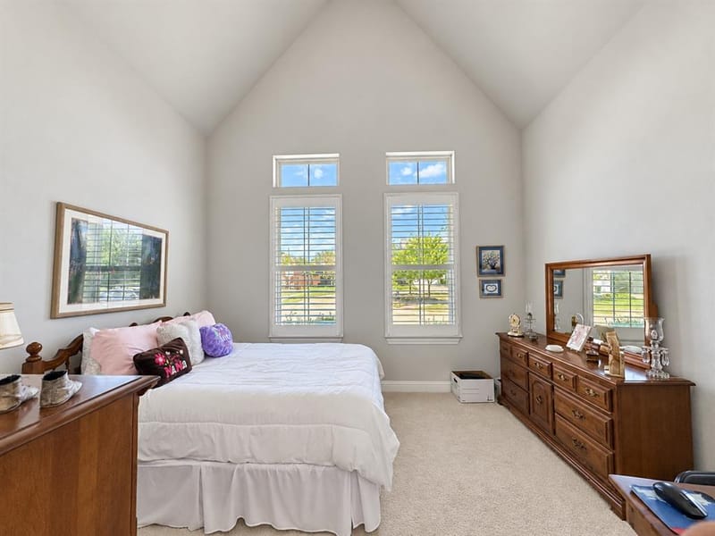 3917 Dubois Drive, Plano TX 75093 - Photo 15
