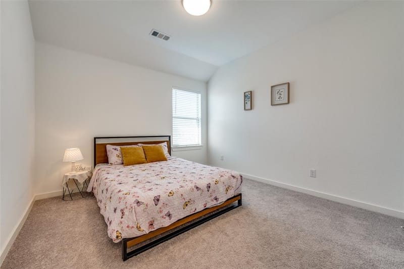 1520 Gelding Drive, Aubrey TX 76227 - Photo 8