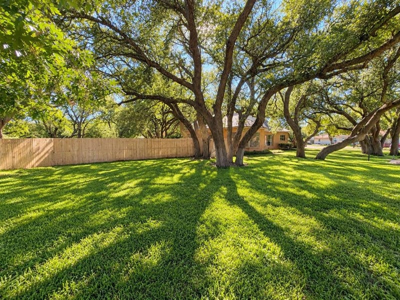 345 W Clinton Street, Dublin TX 76446 - Photo 4