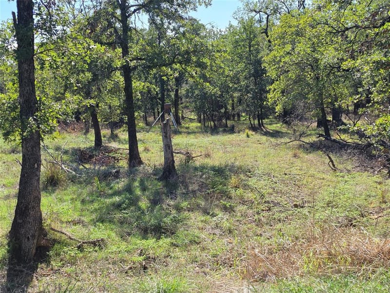 1633 Three Skillet Road, Springtown TX 76082 - Photo 36