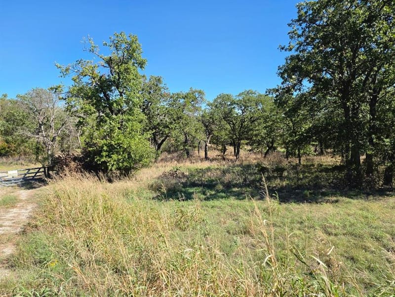 1633 Three Skillet Road, Springtown TX 76082