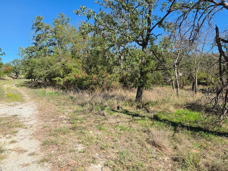 1633 Three Skillet Road, Springtown TX 76082 - Photo 37