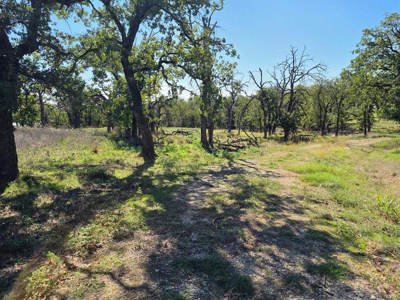 1633 Three Skillet Road, Springtown TX 76082 - Photo 35