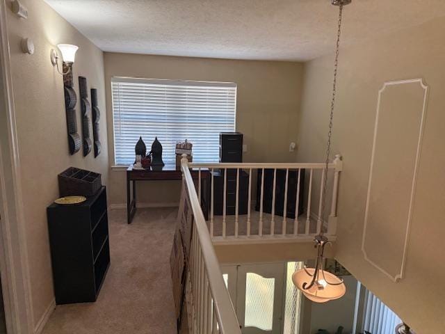 5411 Cherry Glen Lane, Dallas TX 75232 - Photo 31