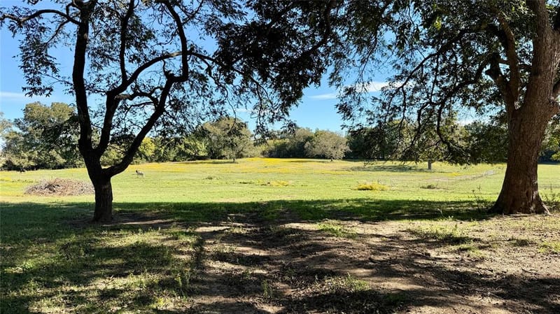 635 FM-2815 Road, Bonham TX 75418 - Photo 33