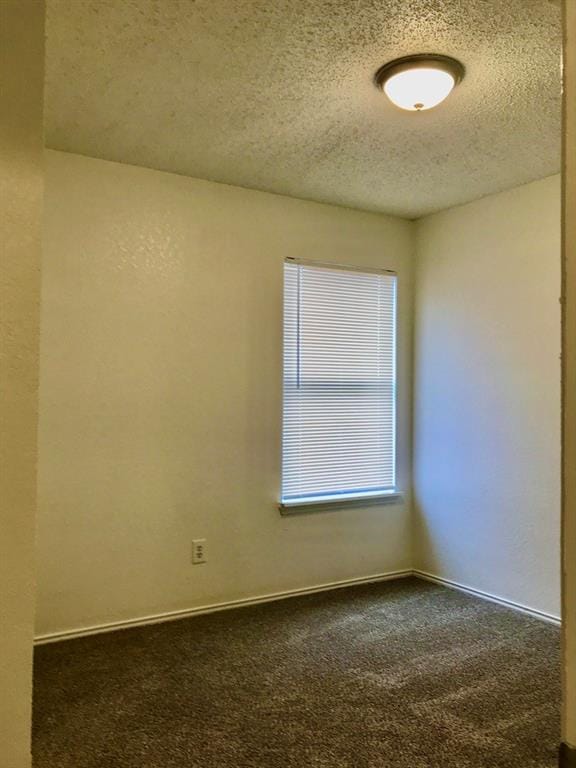 3936 Scarsdale Lane, Dallas TX 75227 - Photo 13