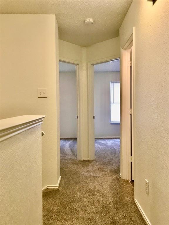 3936 Scarsdale Lane, Dallas TX 75227 - Photo 15
