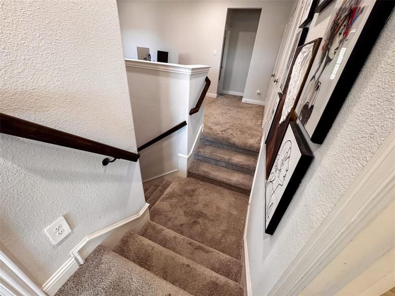 117 Tortugas Drive, Allen TX 75002 - Photo 30
