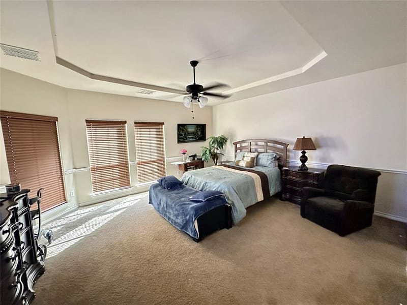 715 Clement Drive, Cedar Hill TX 75104 - Photo 16