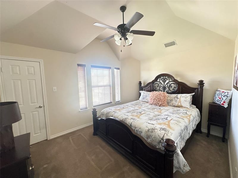 715 Clement Drive, Cedar Hill TX 75104 - Photo 28