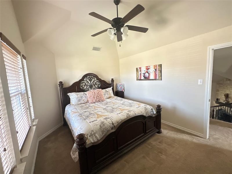 715 Clement Drive, Cedar Hill TX 75104 - Photo 29