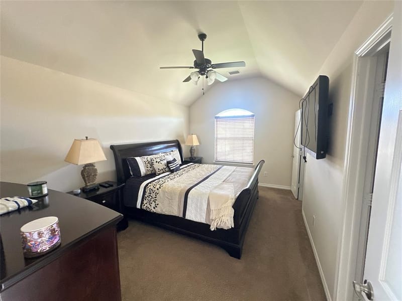 715 Clement Drive, Cedar Hill TX 75104 - Photo 25