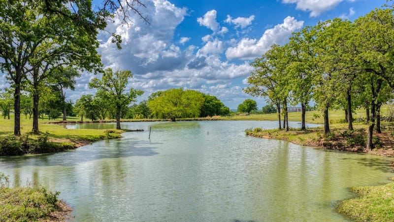 303 Private Road 3365, Boyd TX 76023 - Photo 3
