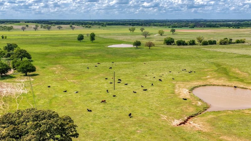303 Private Road 3365, Boyd TX 76023 - Photo 9